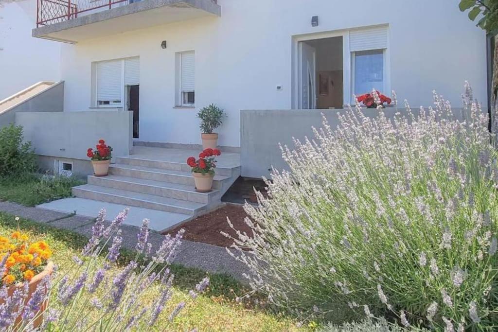 App Racy Apartment Umag Exterior photo